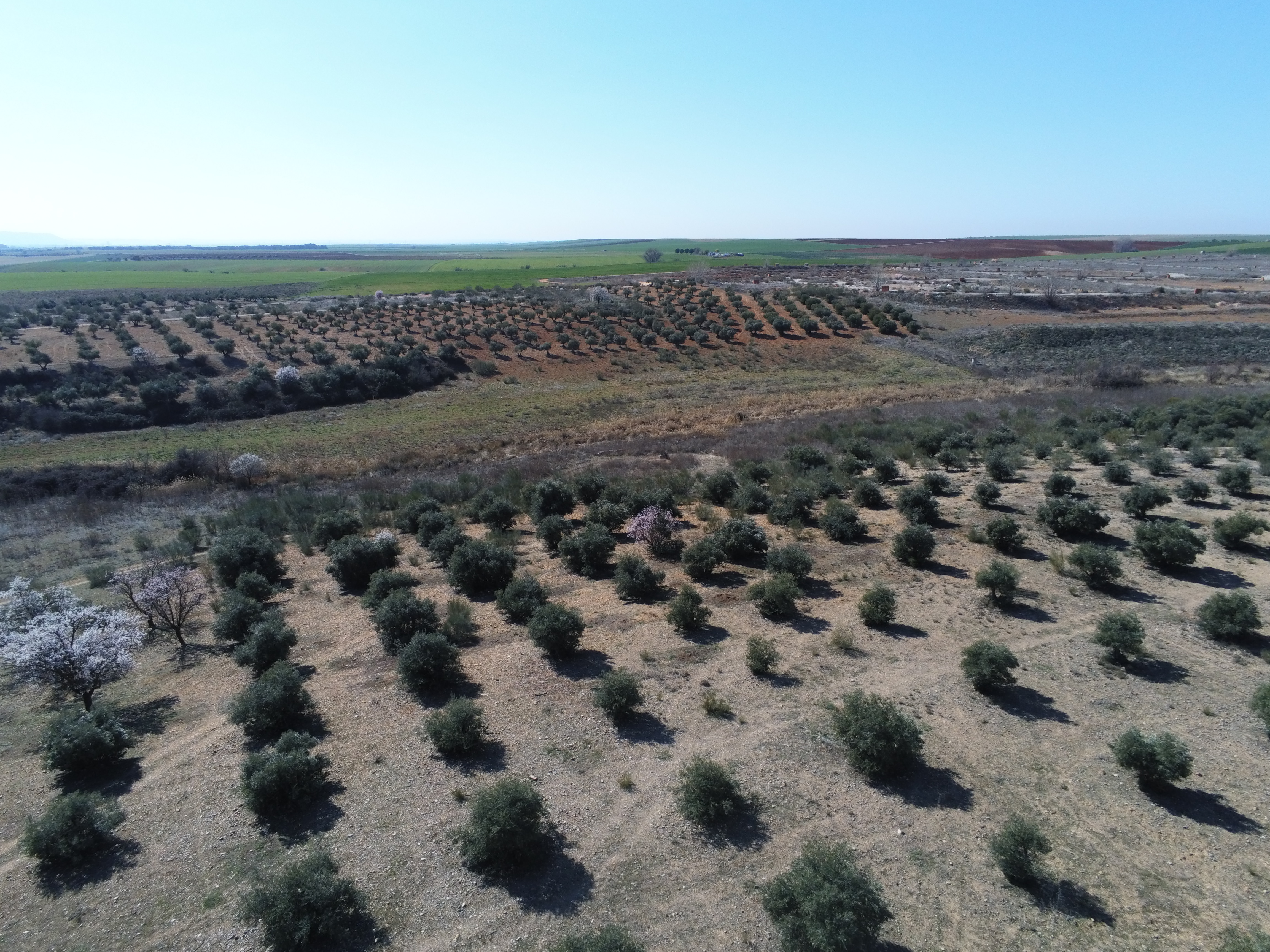 Imagen de fondo con una mezcla de colores luminosos y un cielo despejado y azul.