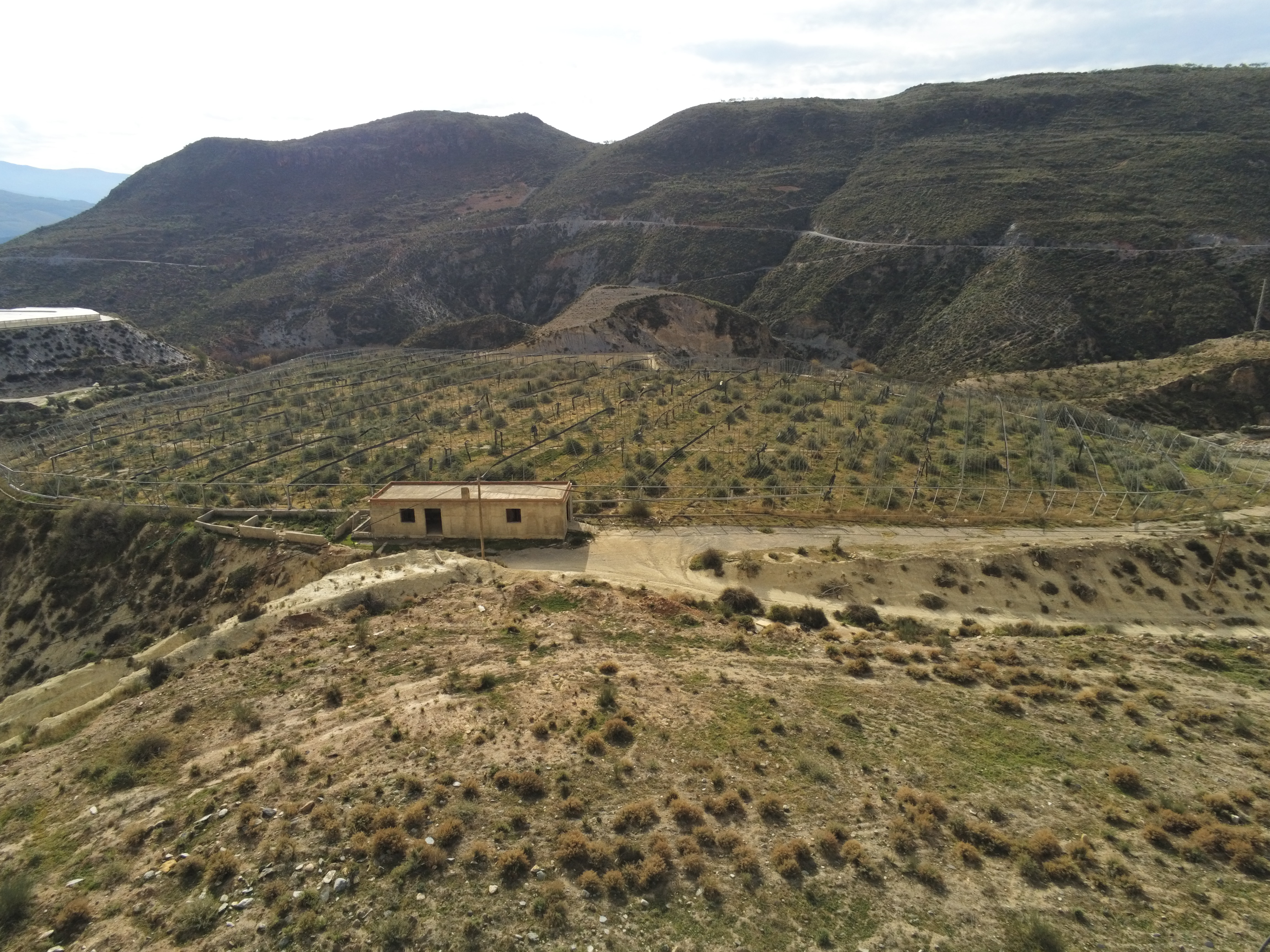 Imagen de fondo con vistas a un monte espectacular, junto a varias explotaciones agrícolas.